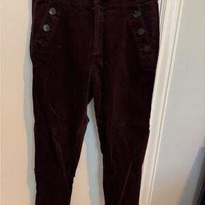 Ann Taylor Loft Burgundy Pants